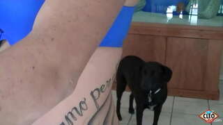 Inked Babe Sin Cleo liker å gi en hjelpende hånd når en stor pikk behov for å frigjøre stress, enda mer hvis hun kan få varme cum all over henne puppene! Så fint! Full Video Og Alle Dens Cleo @ ItsCleoLive.com!